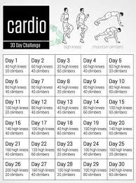 30 Day Challenge Cardio Challenge Workout Challenge 30 Day Fitness