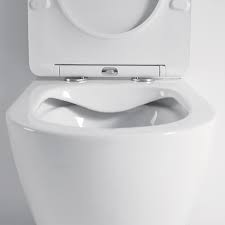 Elle est dotée du revêtement antibactérien pureguard de grohe qui rend vos wc suspendus hygiéniques. Pack Wc Suspendu Grohe Shine Peut Supporter Jusqu A 400 Kg
