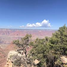 Instrucciones para aser un caldo. Cahir O Higgins And Company Solicitors Posts Facebook