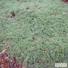 Pin On Outdoors