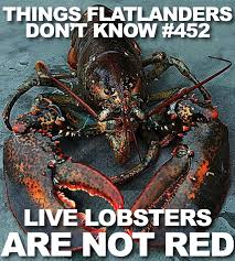 Maine Memes Just The Boiled Ones Also Fun Fact Facebook