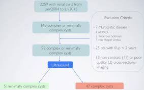 minimally complex renal cysts outcomes and ultrasound