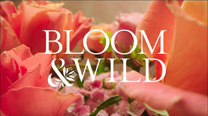 Lucy b's best recent discount code was their 20% off discount code back in november 2018 (see the lucy b's coupon timetable below for details). Bloom Wild Letterbox Flowers Tv Ad Youtube