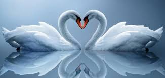 أجمل ابيات الشعر والحكم للإمام علي بن أبي طالب (رضي الله عنه)، أجمل شعر علي بن أبي طالب، شعر علي بن ابي طالب في الصديق ، شعر الامام علي عن الصبر والأخلاق قصة قل للمليحة في الخمار الاسود على قدر أهل العزم تأتي العزائم. Ø£Ø¬Ù…Ù„ Ø´Ø¹Ø± ØºØ²Ù„ Ù…ÙˆØ¶ÙˆØ¹