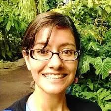 Phage therapy in the human gut