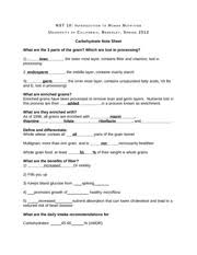 Carb models can be built with different colors of large and. Nutritional Science Discussion Feb 1 Carbs Worksheet Answers Nutritional Science Discussion Feb 1st Whole Wheat Grain Wheat Grain Multigrain 100 Course Hero