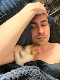 Bathroom door decoration with cat