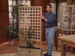 Gardeners.com has been visited by 10k+ users in the past month Roses How To Grow Roses Pictures Of Roses Rose Trellis Patio Privacy Diy Trellis