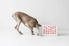 There are many different raw pet food delivery services out there today, and choosing one right for your dog can be difficult. Ollie Natural Dog Food Delivery Disruptivedog Com