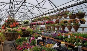 Jun 18, 2021 · united food and commercial workers local 304a, which represents nearly 3,000 south dakota food workers, announced on friday a new agreement with smithfield for workers at its sioux falls pork Nursery Spokane Valley Wa Sculptured Gardens