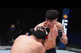 Ignacio bahamondes amazing spinning kick ko slowmo roosevelt roberts. En La Mira Ignacio Bahamondes Ufc