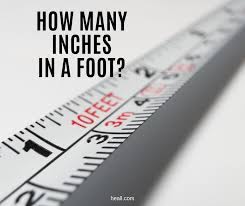 1 foot is equal to 12 inches: How Many Inches In A Foot Conversion Table Converter