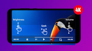 Your immune system then goes into overdrive trying to remove them from the body. New Uc Browser Video Player Hd 2021 Fur Android Apk Herunterladen