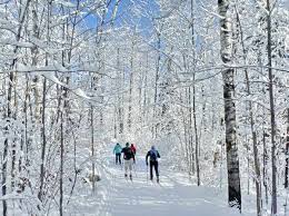 Wasi Ontario Ski Trails