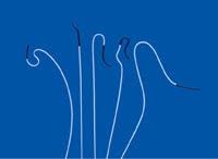 Rvot balloon dilatation / rvot stenting. Cook Advance 18 Ptx Drug Eluting Pta Balloon Dilatation Catheter Obex
