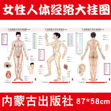 us 16 98 standard meridian points of human wall charts body acupuncture points chart holographic beauty moxibustion for male female in massage