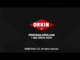 .pest control is a family owned st. Kristen Geddie Region Administrative Assistant Orkin Pest Control Linkedin