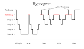 Sleep Cycle App Precise Or Placebo Psychology Today