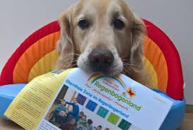 Unsere mira die begründerin meiner pudelzucht hat am 12.05.2020 ihre reise ins regenbogenland begonnen. Unsere Downloads Kinderhospiz Regenbogenland