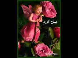Youssef nady صباح الورد والياسمين. ØµØ¨Ø§Ø­ Ø§Ù„ÙˆØ±Ø¯ ÙˆØ§Ù„ÙÙ„ ÙˆØ§Ù„ÙŠØ§Ø³Ù…ÙŠÙ† Youtube