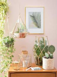 Gold Blush Cactus Bedroom Bedroom Green Trending Decor