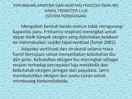 Respirasi dikendalikan dalam sistem saraf pusat (ssp). Oleh Sefti Winda Sari Ib Ppt Download