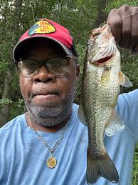 Struggling to catch bass now