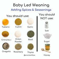 Baby Led Weaning Adding Spices And Seasonings Baby First Foods Baby Led Weaning First Foods Baby Led Weaning Recipes