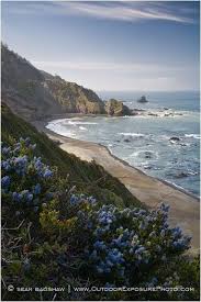 Northern California California Beach Camping Crescent City California Oregon Road Trip