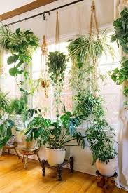 39 Smart Ideas To Display Indoor Plants Display Ideas Indoor Plants Smart Display Ideas Indoor Plants Plant In 2020 Window Plants Bedroom Plants Hanging Plants