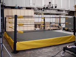 Best of backyard wrestling #1: Backyard Wrestling Ring Also Need 2x12x16ft Boards 34 A Piece 408 2600 3008 Total Cost Backyard Backyard Decor Backyard Patio Furniture