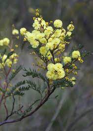 Online Contest Designer Client Searching For Aqua And Gold Tone Paintings Tapestries 3d Wall Art Yellow Wildflowers Wild Flowers 3d Wall Art