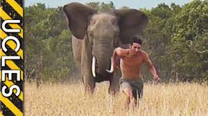 ELEPHANT ATTACK: Chasing the truth with Andrew Ucles - Ucles vs ...