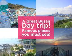 53,173 likes · 998 talking about this. 5 Famous Spots In Busan You Must See On This One Day Trip Haeundae Beach Street Food And Other Sights Koreatraveleasy