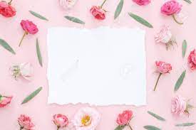 Pink roses flower border soft background for valentine. Beautiful Pink Roses Heads On Pink Background Frame From Flower Stock Photo Picture And Royalty Free Image Image 110027384