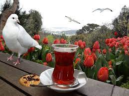 hello new day kahve cay saati cay