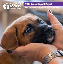 5 thoughts i had while streaming the 'loki' season finale Hssa In The News Humane Society Of Southern Arizona