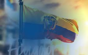 Diferentes ciudades del noroeste se unieron, y el 13 de septiembre, un ejército de 6,000 dominicanos se atrincheró en la fortaleza san luis, en santiago. 4vfs Jnnhmogom