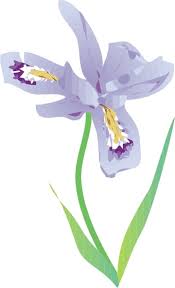 Free Free Iris Flower Svg 189 SVG PNG EPS DXF File