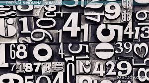 She is responsible for leading the it & data strategy to support the cardinal group companies. What Are Cardinal Numbers Definition Examples Video Lesson Transcript Study Com