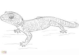 Includes images of baby animals, flowers, rain showers, and more. Gecko Coloring Pages Printable