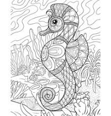 Download free cute seahorse coloring pages for preschoolers picture. Seahorse Coloring Pages Vector Images Over 140