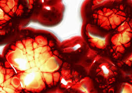 Microscópicos, parecidos a puercoespines o pequeñas elipses, y sólo visibles bajo un microscopio, el tamaño promedio es de alrededor de cuatrocientas milésimas de pulgada (1 a 3,5 um). Que Son Las Plaquetas Bonomedicoblog