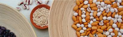 Gartenmagazin online mit themen rund um garten, balkon, terrasse und teich. Online Shop Von Garten Des Lebens Mit Samenfestem Saatgut Und Gartenbuchern Garten Des Lebens Shop