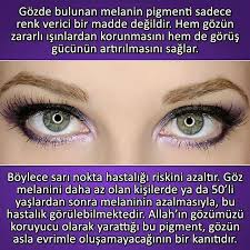 Https Www Instagram Com Bilgikupu Tv Bilgi Renkler Yaya