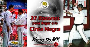 37 Razones Para Llegar A La Cinta Negra