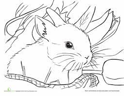 Today, we have a gorgeous spring bunny coloring pages design by the wonderful arty crafty kids, who have just launched a range of their own printables and coloring pages. Spring Bunny Worksheet Education Com Bunny Coloring Pages Animal Coloring Pages Coloring Pages