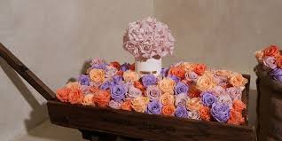 Image result for Dusty Rose 1962 Dart