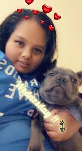 Lost French Bulldog Found in Lehigh Acres, FL