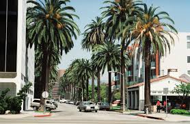 Check spelling or type a new query. Beverly Hills Vikipedi